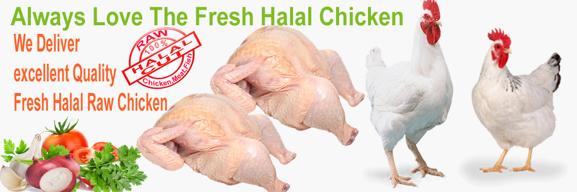 Fresh Raw 100 % Halal Chicken,chicken home delivery