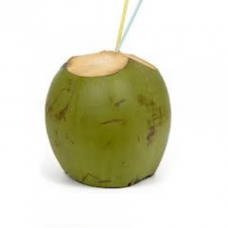 Narial pani 1 Pcs - coconut water