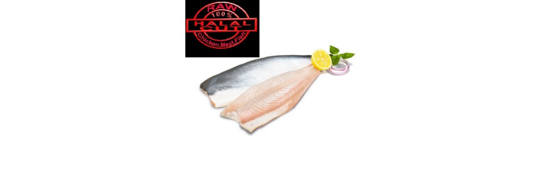Fresh Pangasius fillet Boneless  home delivery