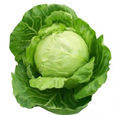 Cabbage / 500 GM