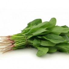 Palak / 500 gm -Spinach 