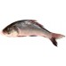 Fresh water Rohu Fish / 1 Kg (Only Fresh not Frozen)(Quality  Fish)
